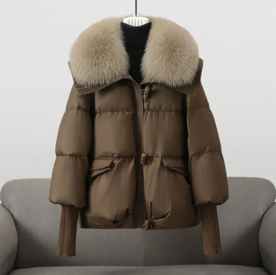 Elegantly Designed Jacket