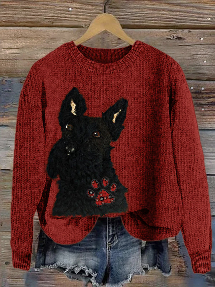Elegantly Designed Jumper