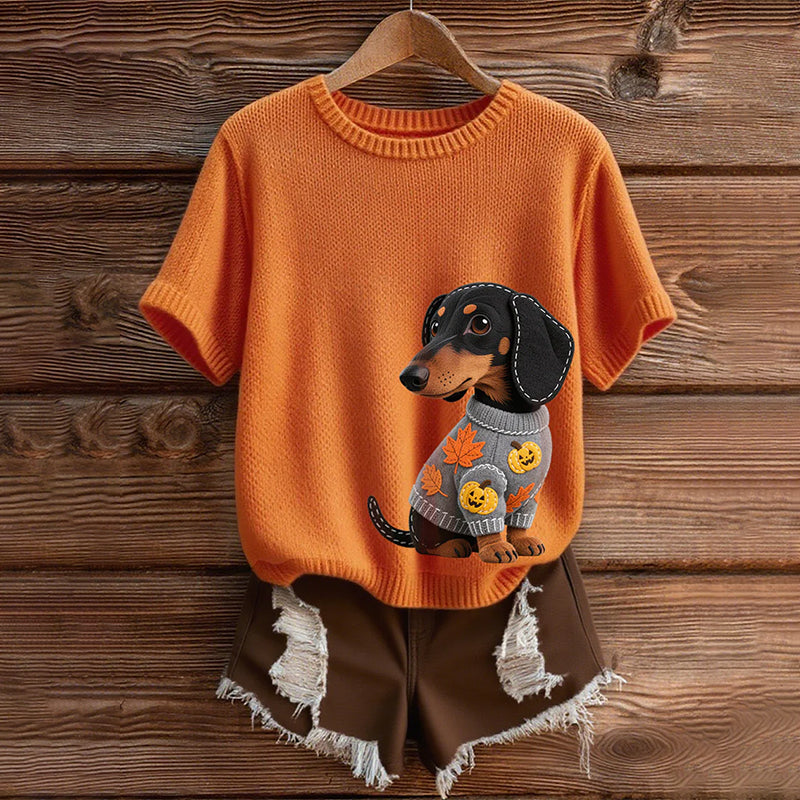 Elegantly Designed Jumper
