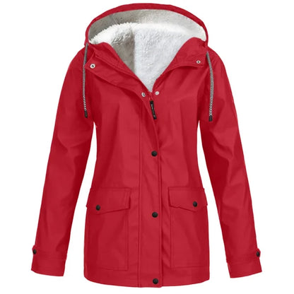 LM | WARM FLY MACKINTOSH