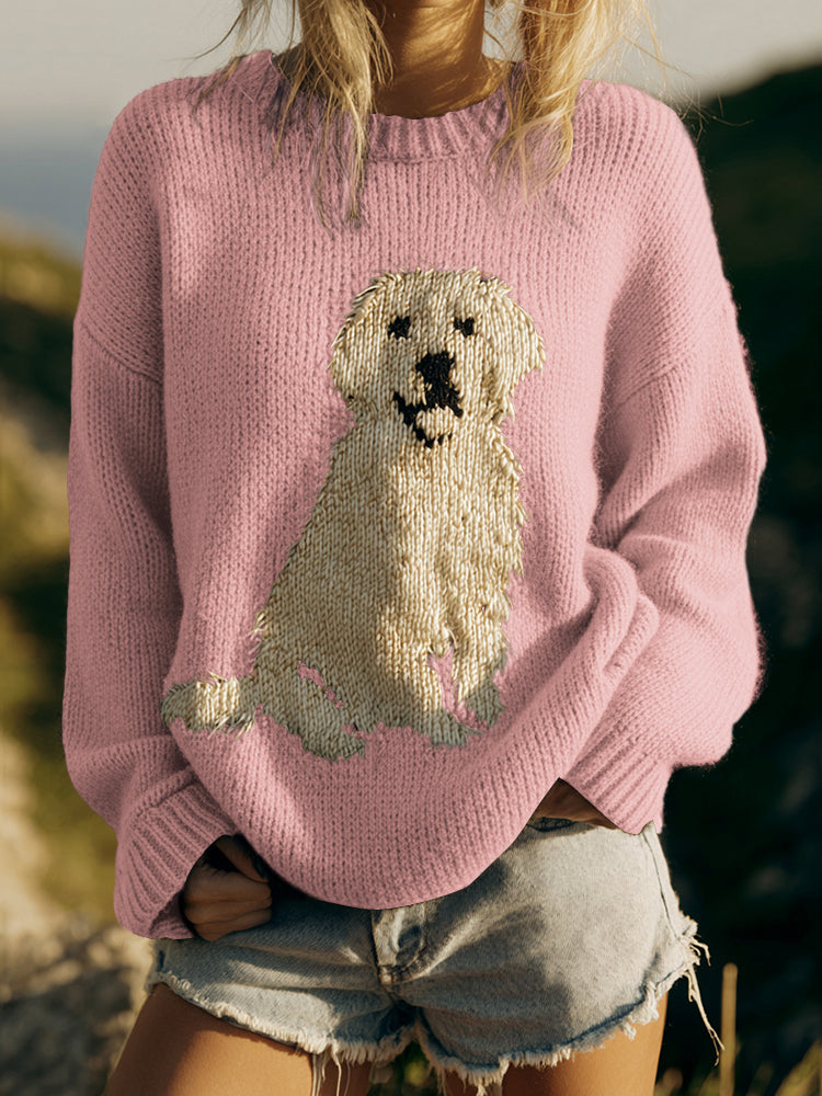 Thoughtfully Designed Jumper