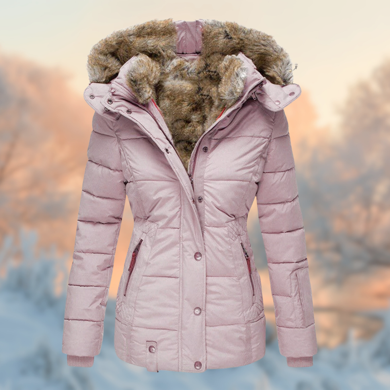 Elegantly Designed Jacket