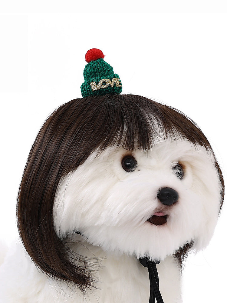 Dog Hair Wig elevenforest