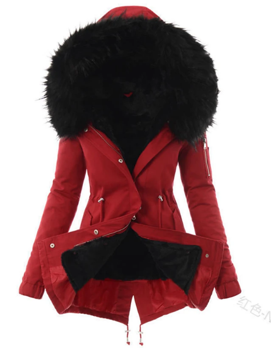 Thoughtfully Designed Jacket
