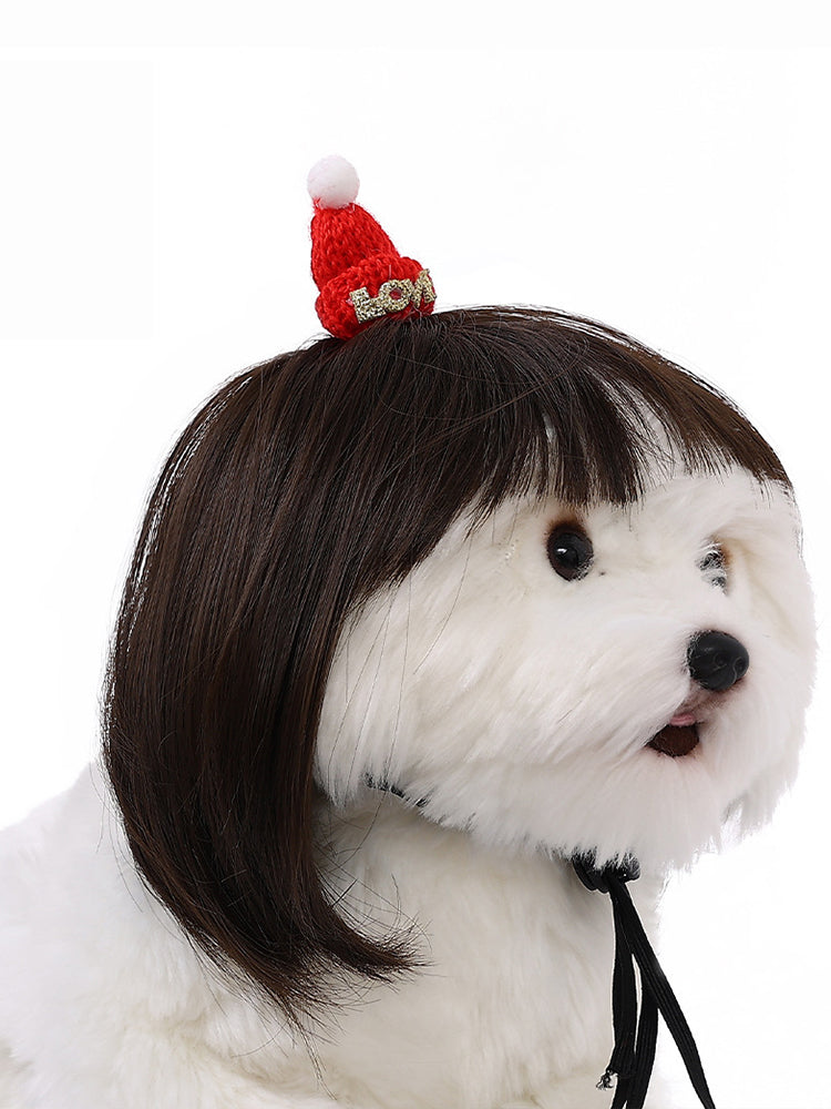 Dog Hair Wig elevenforest