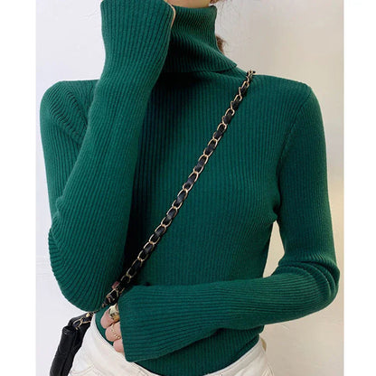 Thoughtfully Designed Jumper