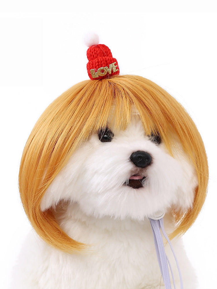 Dog Hair Wig elevenforest