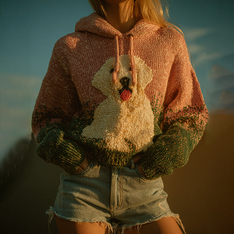 Elegantly Designed Jumper