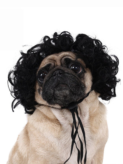 Dog Hair Wig elevenforest