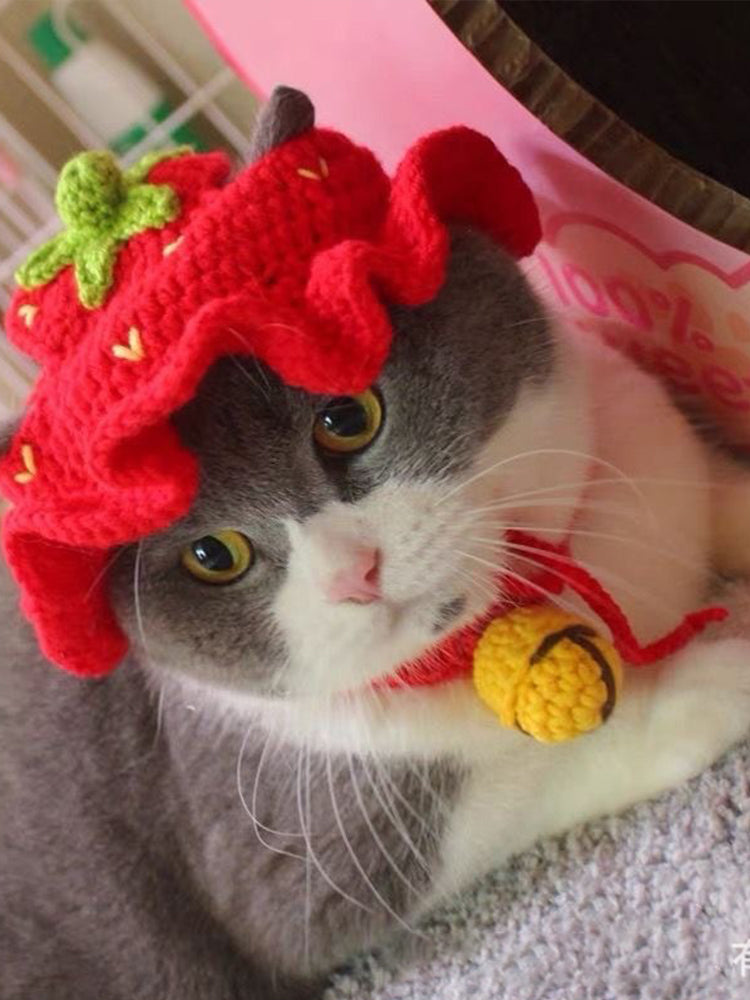 Animal Funny Crochet Hat elevenforest