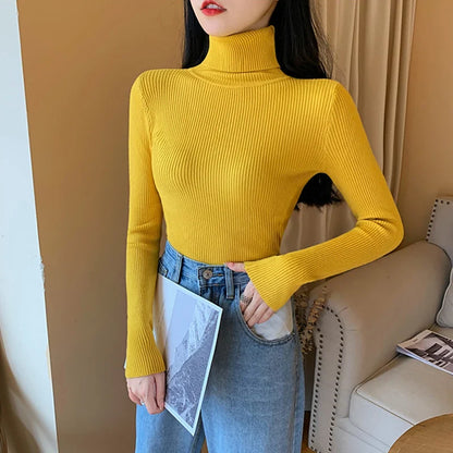 Refined and Radiant Sweater