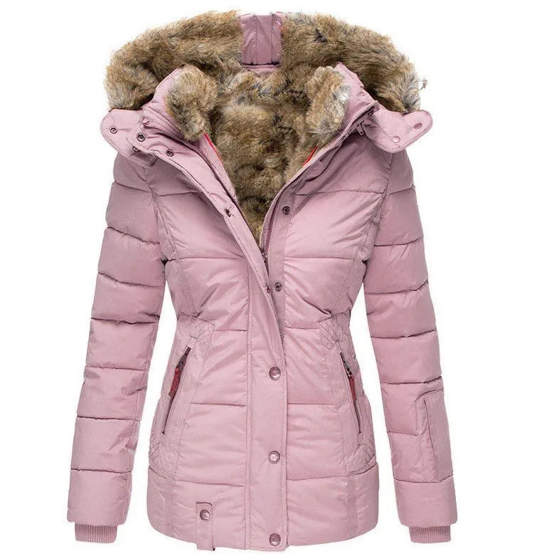 Elegantly Designed Jacket