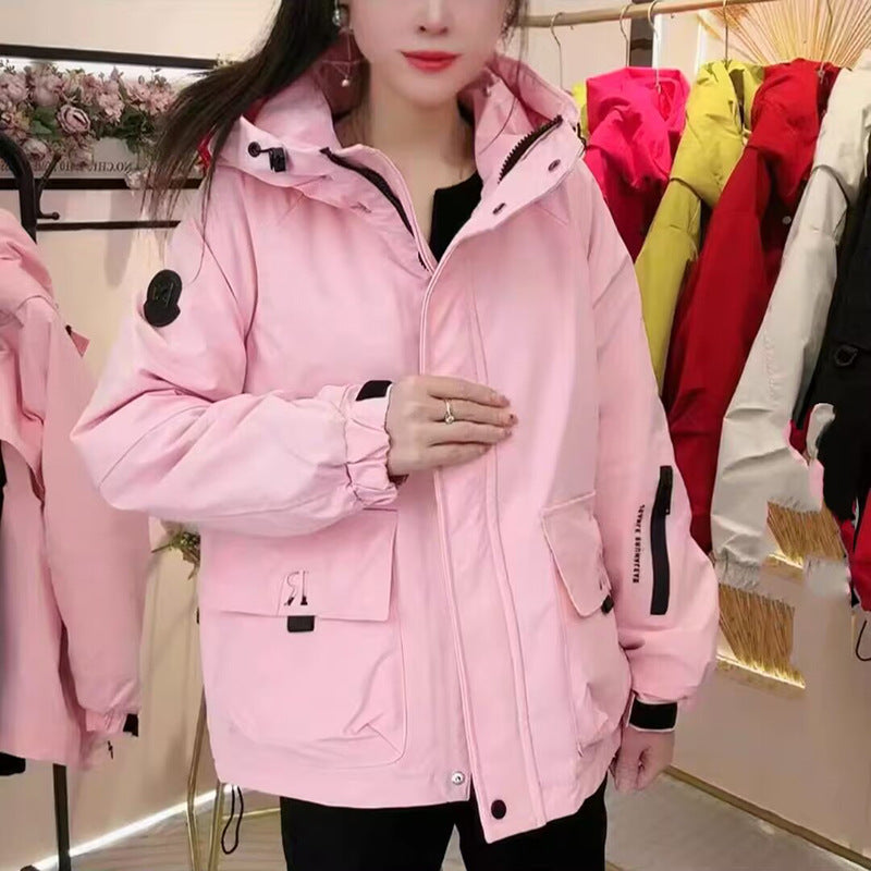 Rosa