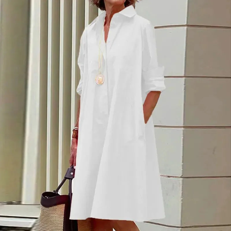 Classy and Versatile Dress