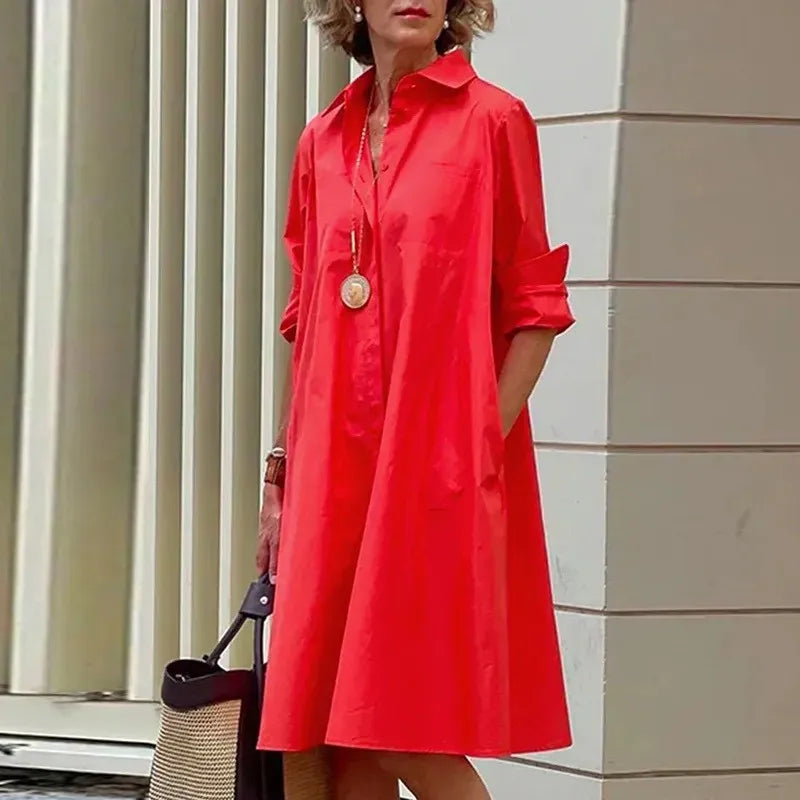 Classy and Versatile Dress