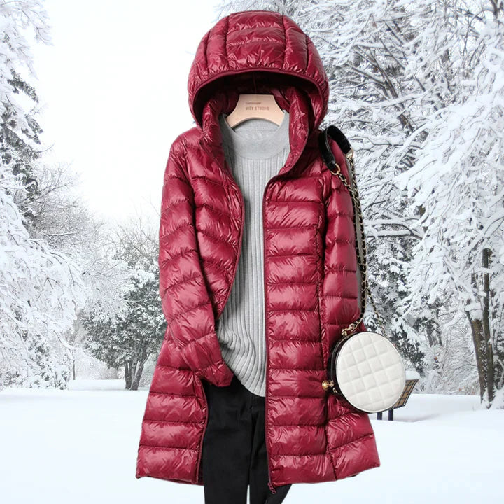 Elegantly Designed Jacket