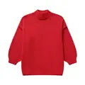 Elegantly Designed Jumper