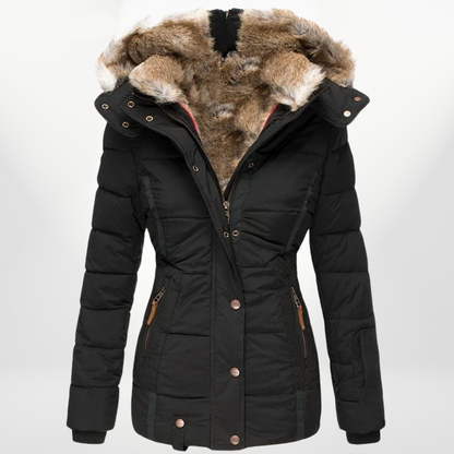 Elegantly Designed Jacket