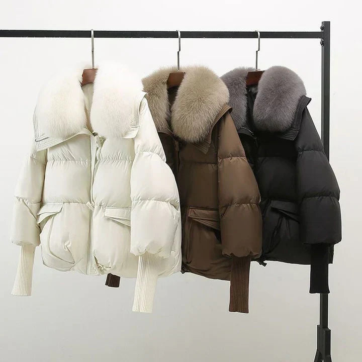 Classic Designed Jacket