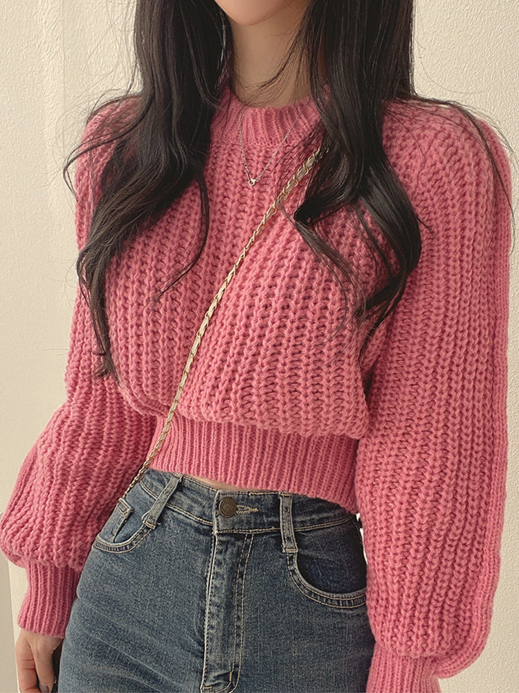 Elegantly Designed Jumper