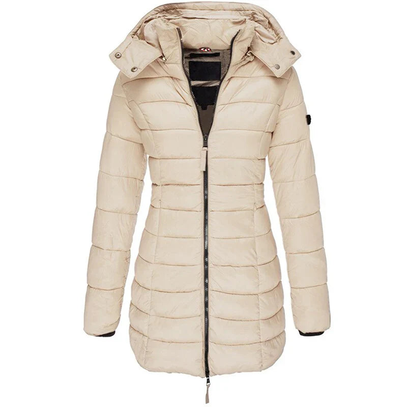 Elegantly Designed Jacket