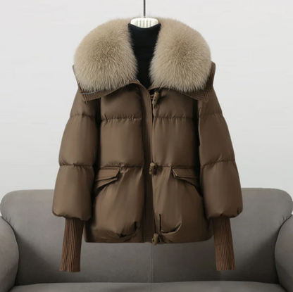 Elegantly Designed Jacket