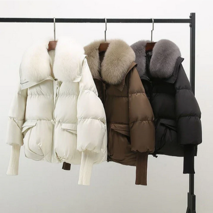 Elegantly Designed Jacket
