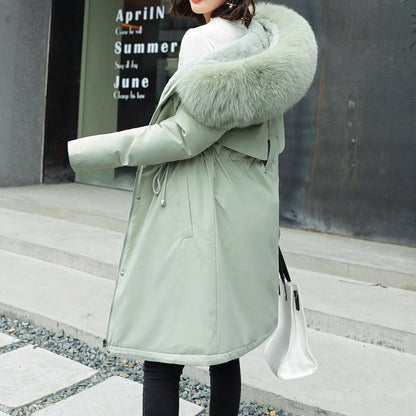 Elegantly Designed Jacket