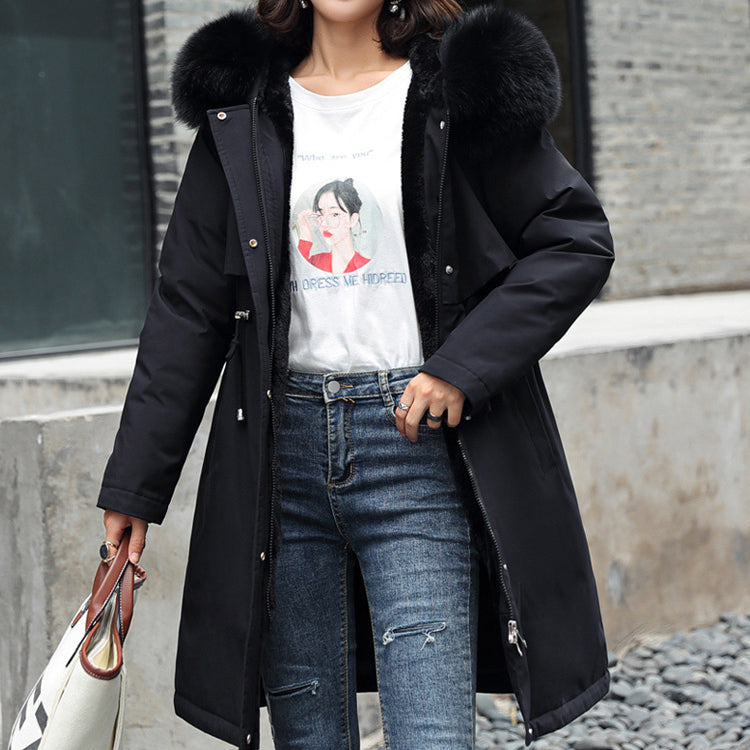 Elegantly Designed Jacket